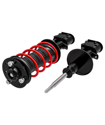 Амортизатор в сборе